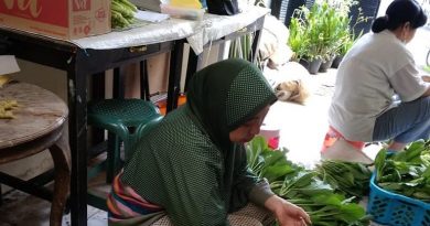 KWT Cemara Hijau Farm Tetap Produktif Hasilkan Sayur Organik KWT Cemara Hijau Farm Tetap Produktif Hasilkan Sayur Organik
