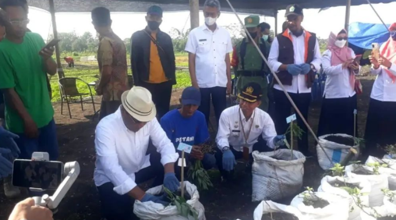 Penanaman Ubi Jalar dalam Karung di Wilayah Sukun Oleh Wakil Walikota Malang